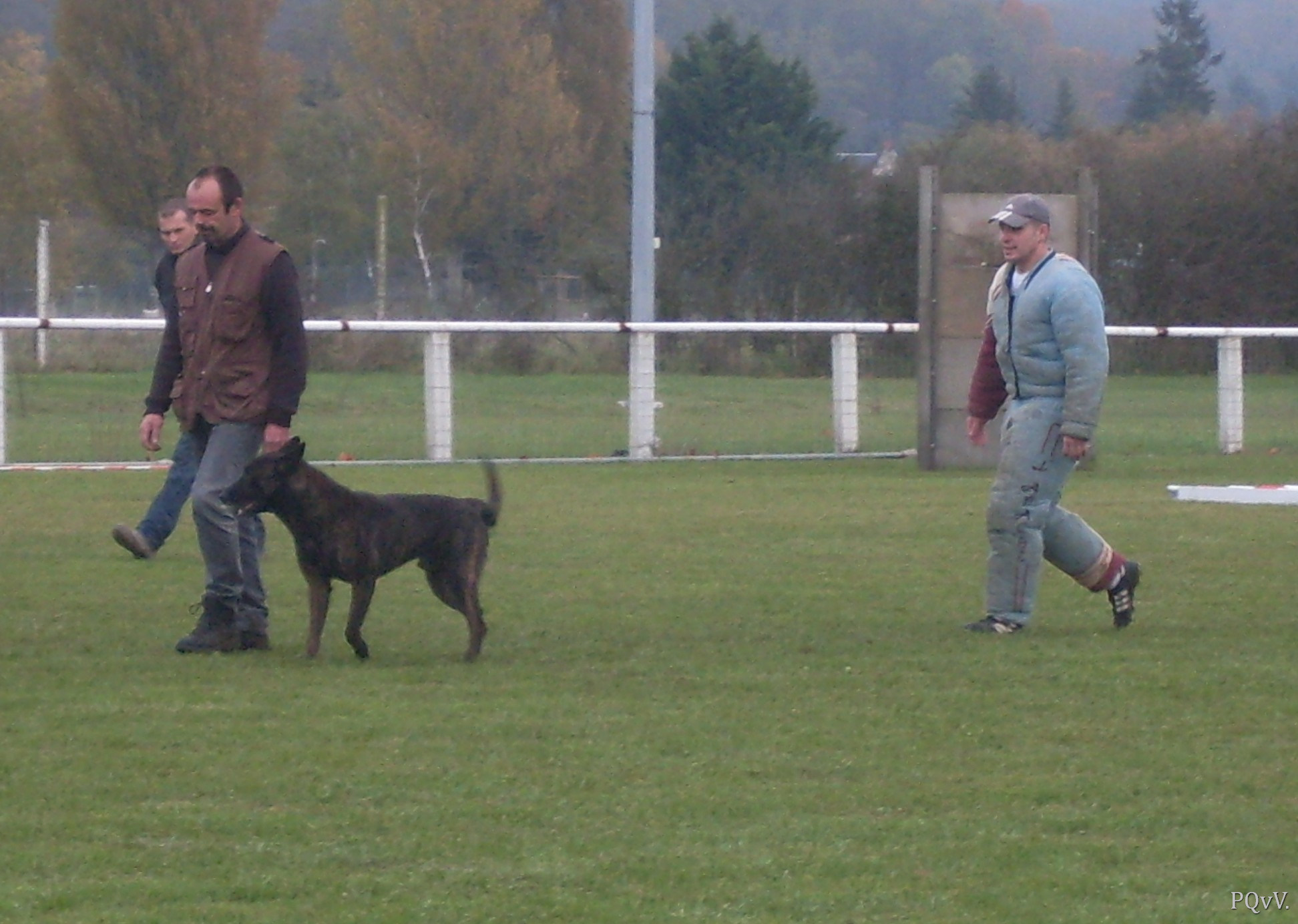  Chabal du Domaine des Sphinx Noirs